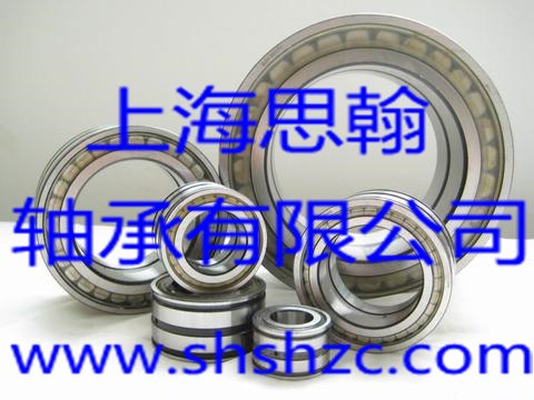 INA轴承-SL 19  2306-圆柱滚子轴承