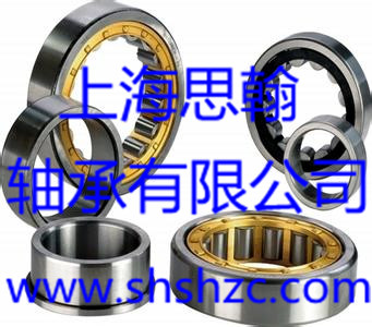 INA轴承-SL 19 2307-圆柱滚子轴承